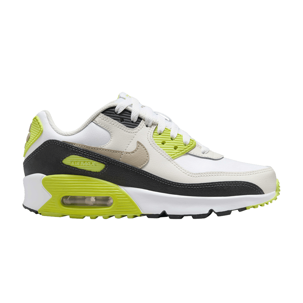 Кроссовки Nike Air Max 90 GS 'Cyber'