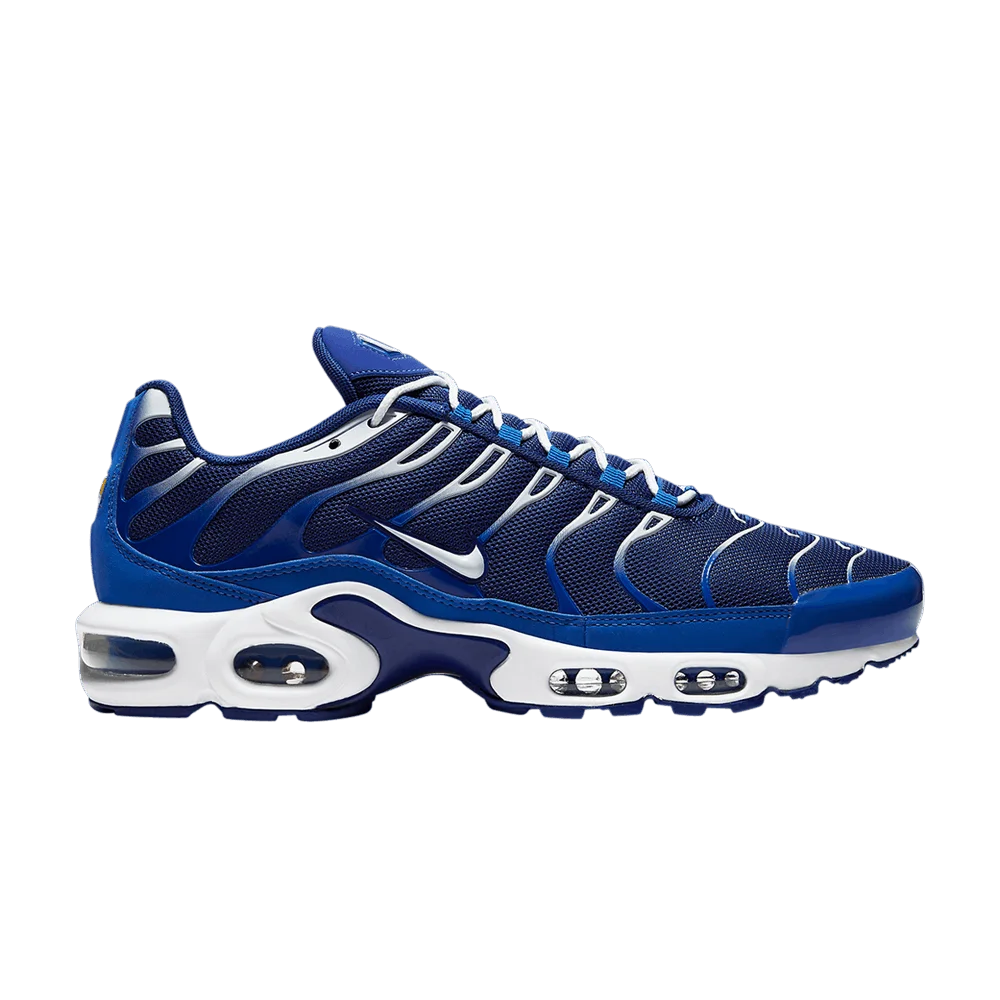 Кроссовки Nike Air Max Plus 'Arctic Chill'