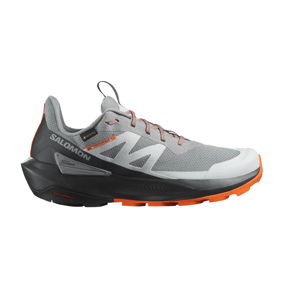 Кроссовки Salomon Elixir Activ GORE-TEX 'Sharkskin'