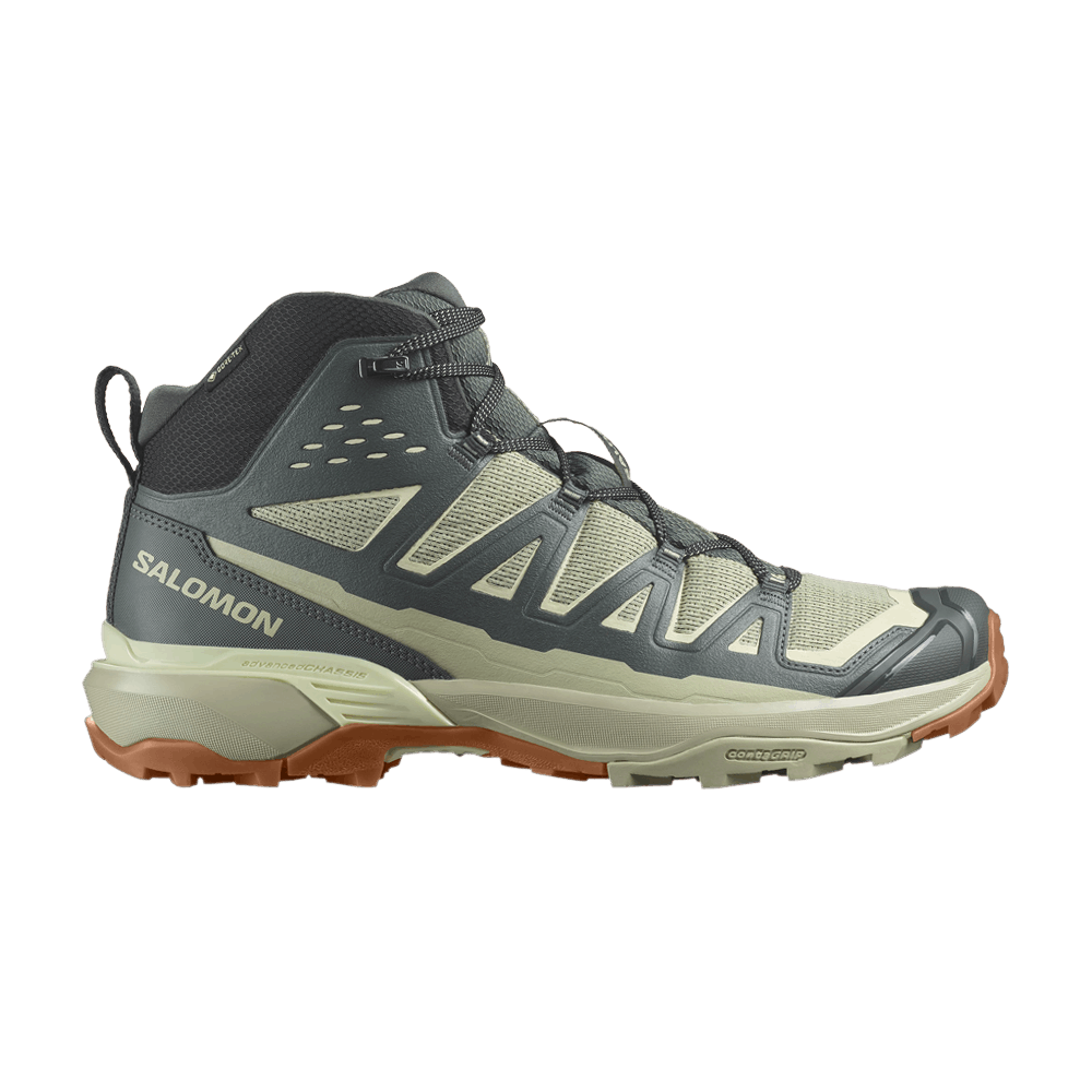 Кроссовки Salomon X Ultra 360 Edge Mid GORE-TEX 'Urban Chic Alfalfa'