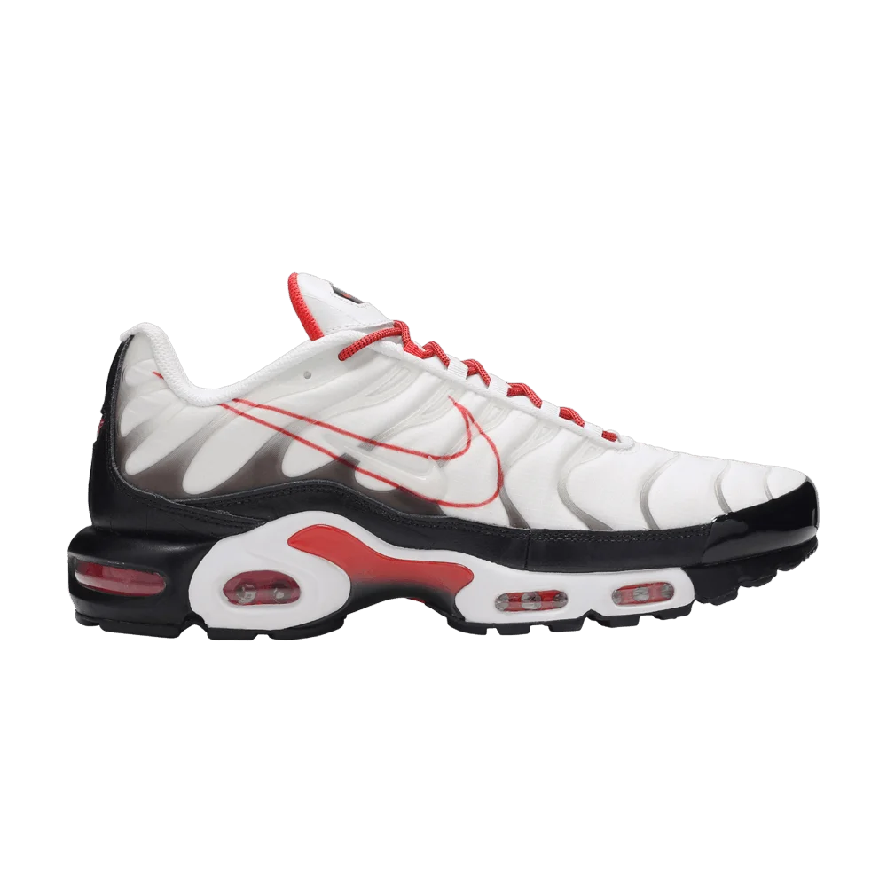 Кроссовки Nike Air Max Plus 'Script Swoosh'