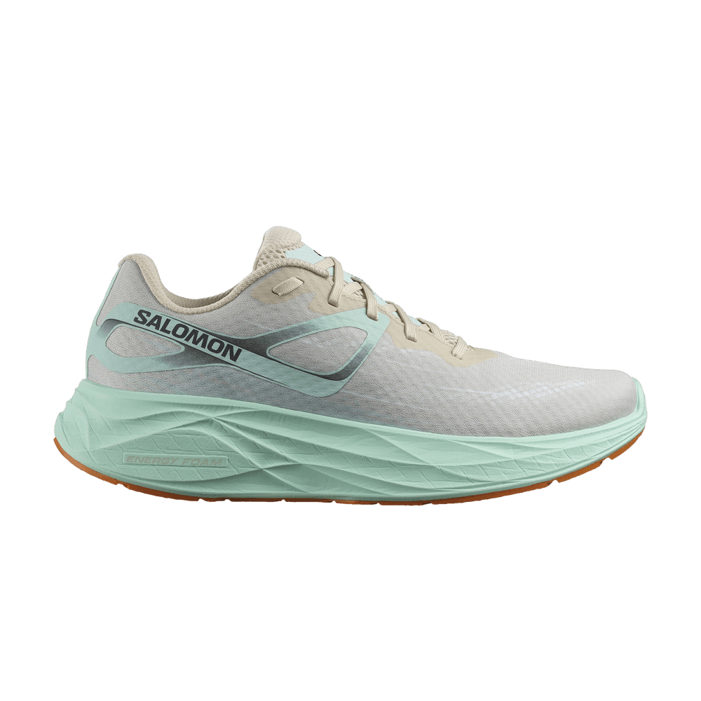 Кроссовки Salomon Aero Glide 'Bleached Sand Yucca'