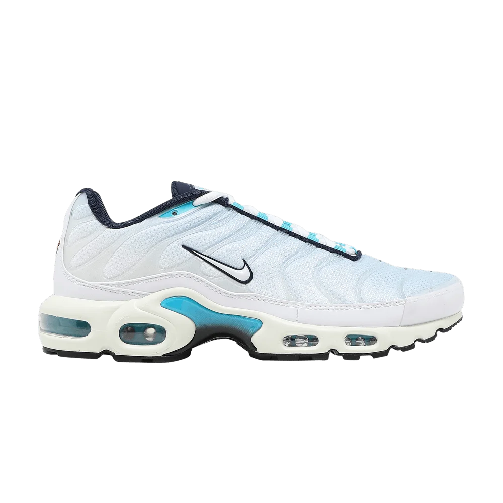 Кроссовки Nike Air Max Plus 'Psychic Blue'