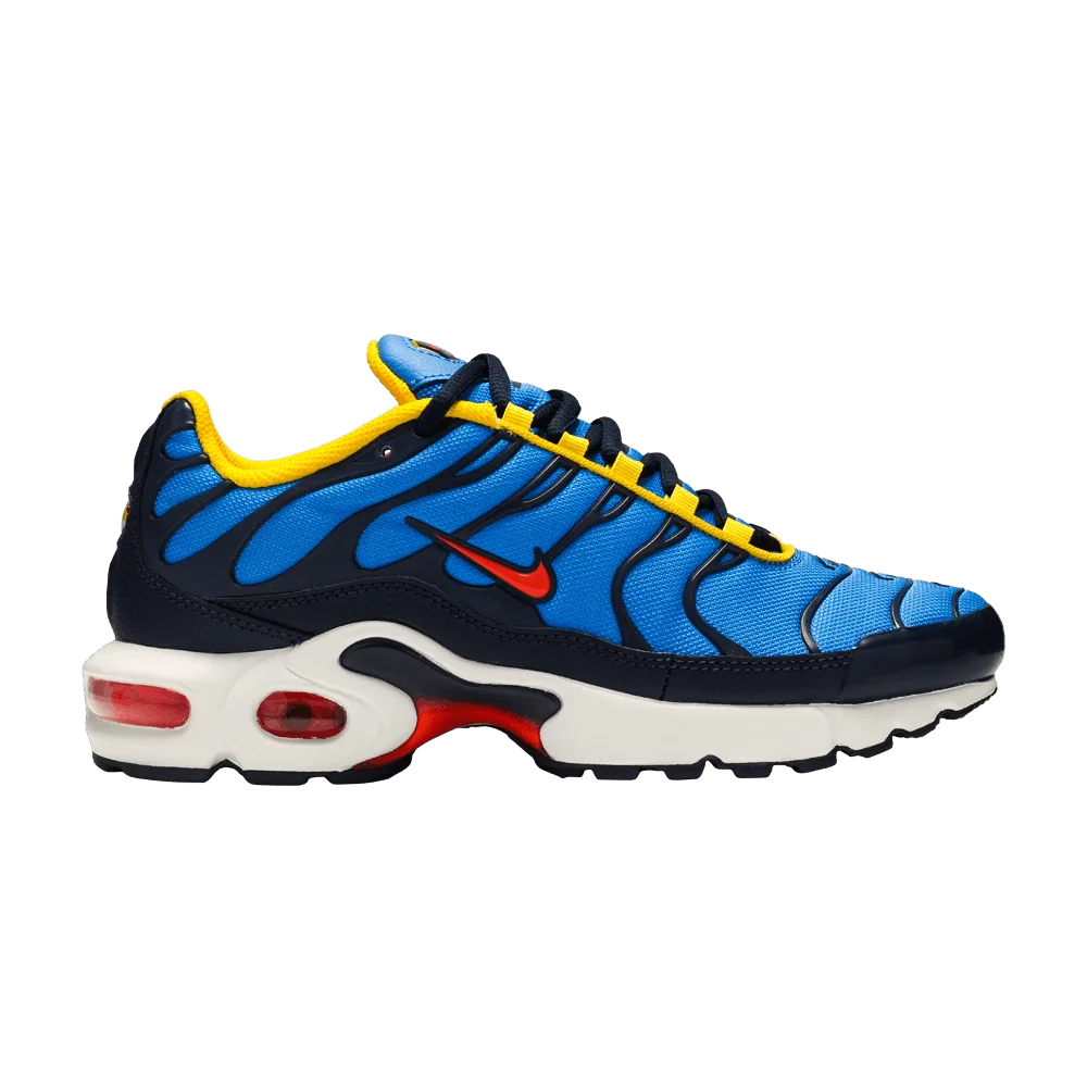 Кроссовки Nike Air Max Plus GS 'Photo Blue'
