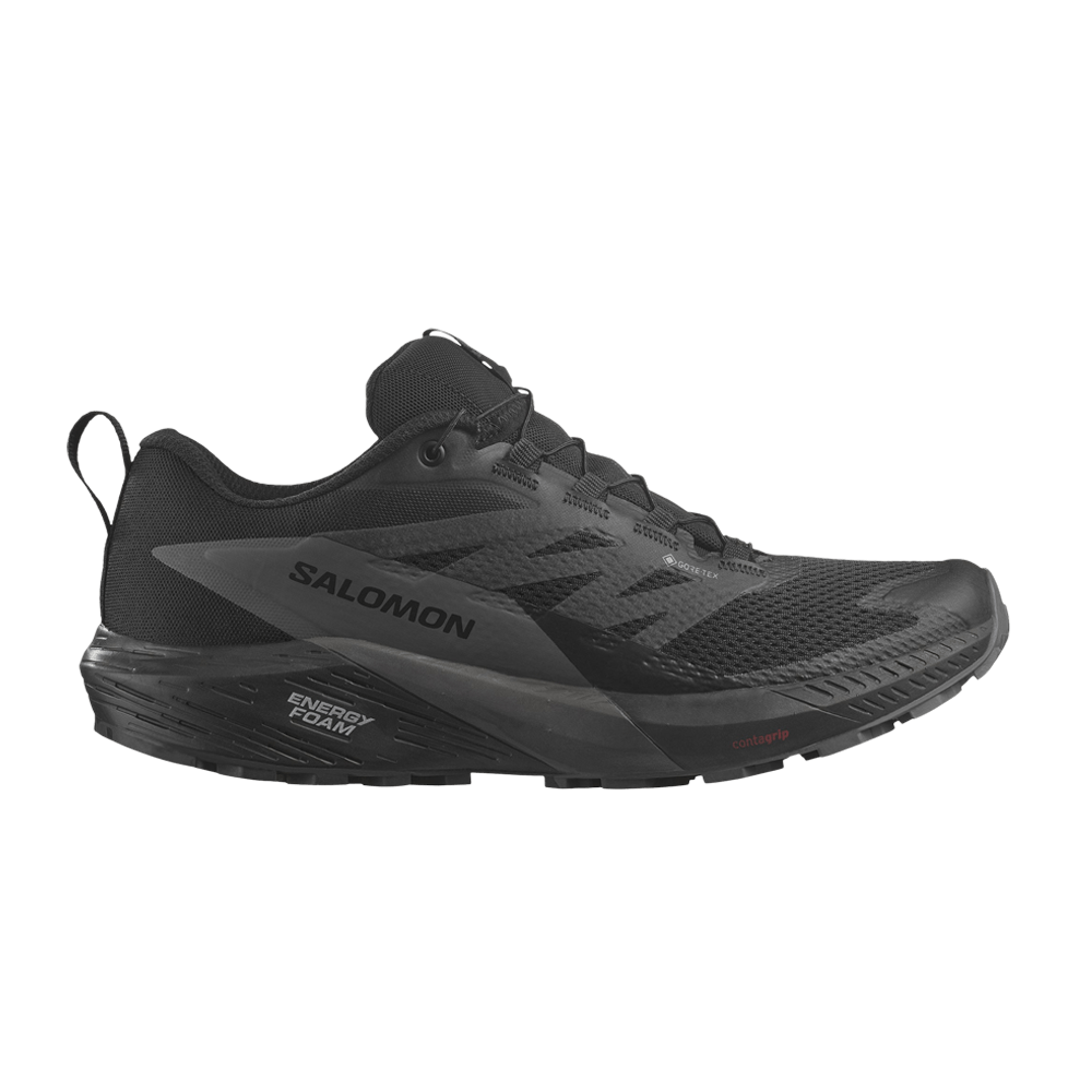 Кроссовки Salomon Sense Ride 5 GORE-TEX 'Black Magnet'
