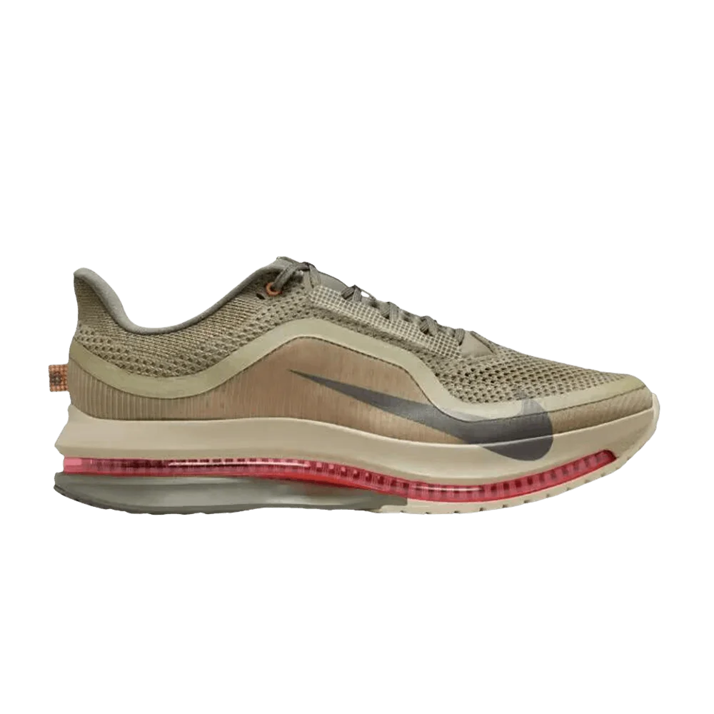 Кроссовки Nike Pegasus Premium 'Running Poets'