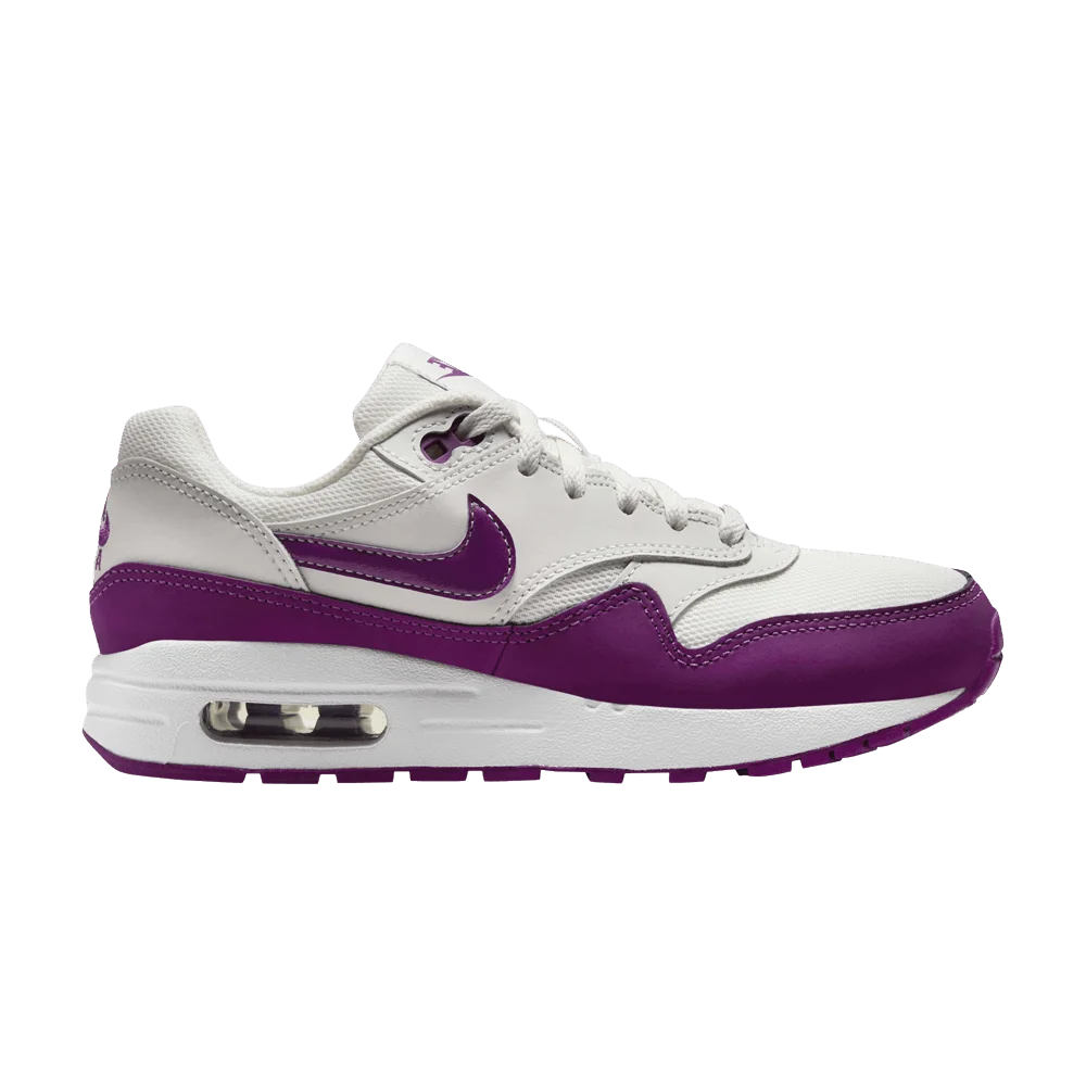 Кроссовки Nike Air Max 1 GS 'White Viotech'