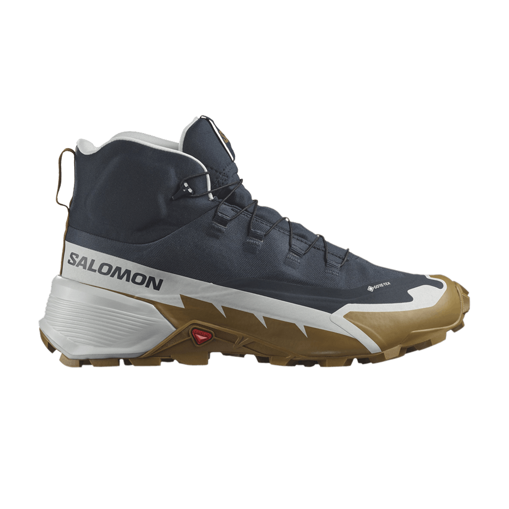 Salomon Cross Hike 2 Mid GORE-TEX 'Carbon Bronze Brown'