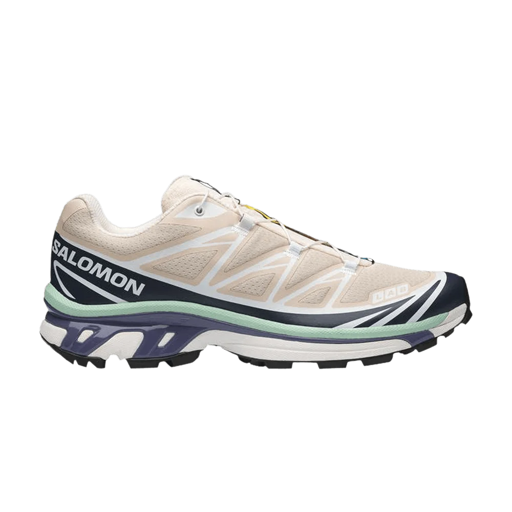 Кроссовки Salomon XT-6 'Tapioca Spellbound Lichen'