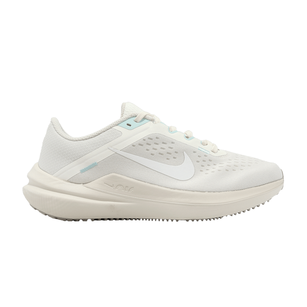 Кроссовки Nike Wmns Air Winflo 10 'Phantom'