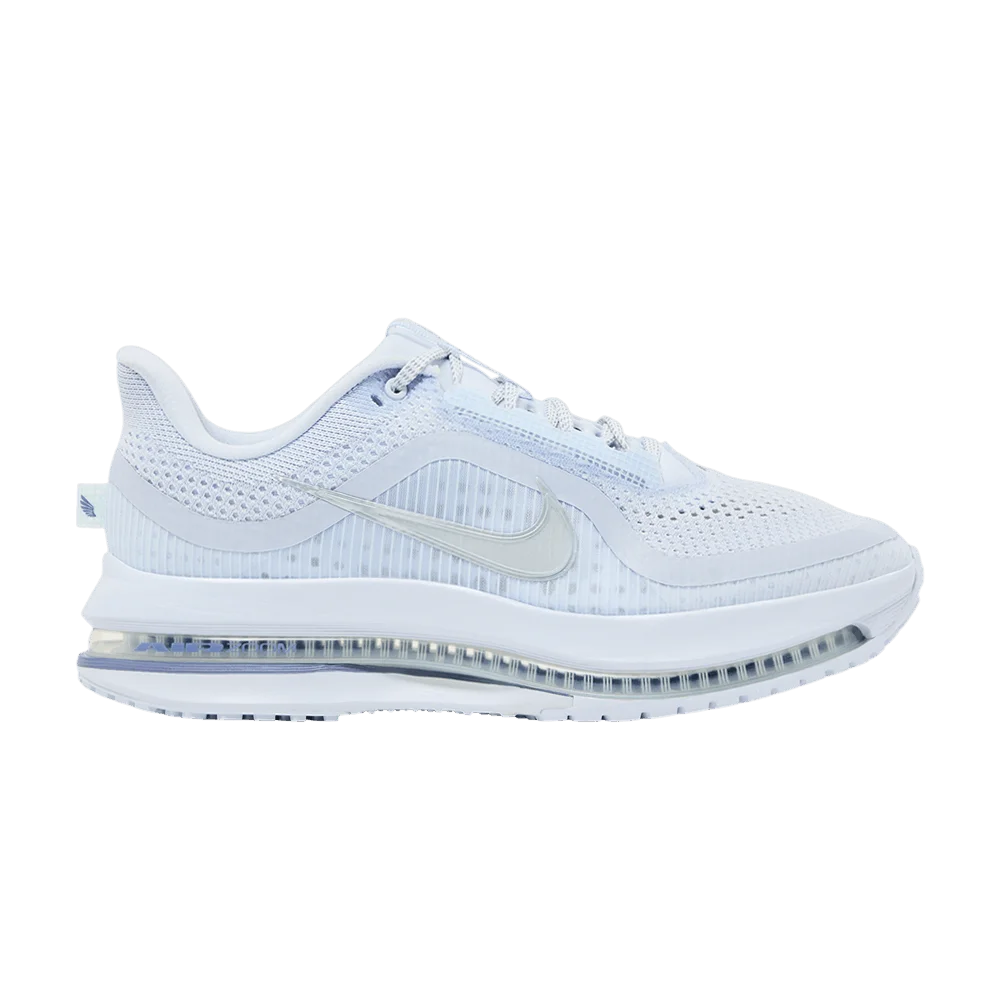 Кроссовки Nike Wmns Pegasus Premium 'Football Grey'