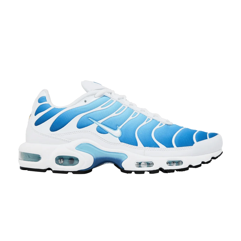 Кроссовки Nike Air Max Plus 'Sky Blue'