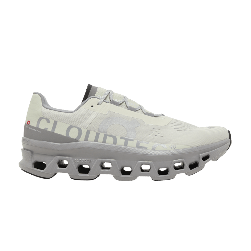 Кроссовки Cloudmonster 'Ice Alloy'