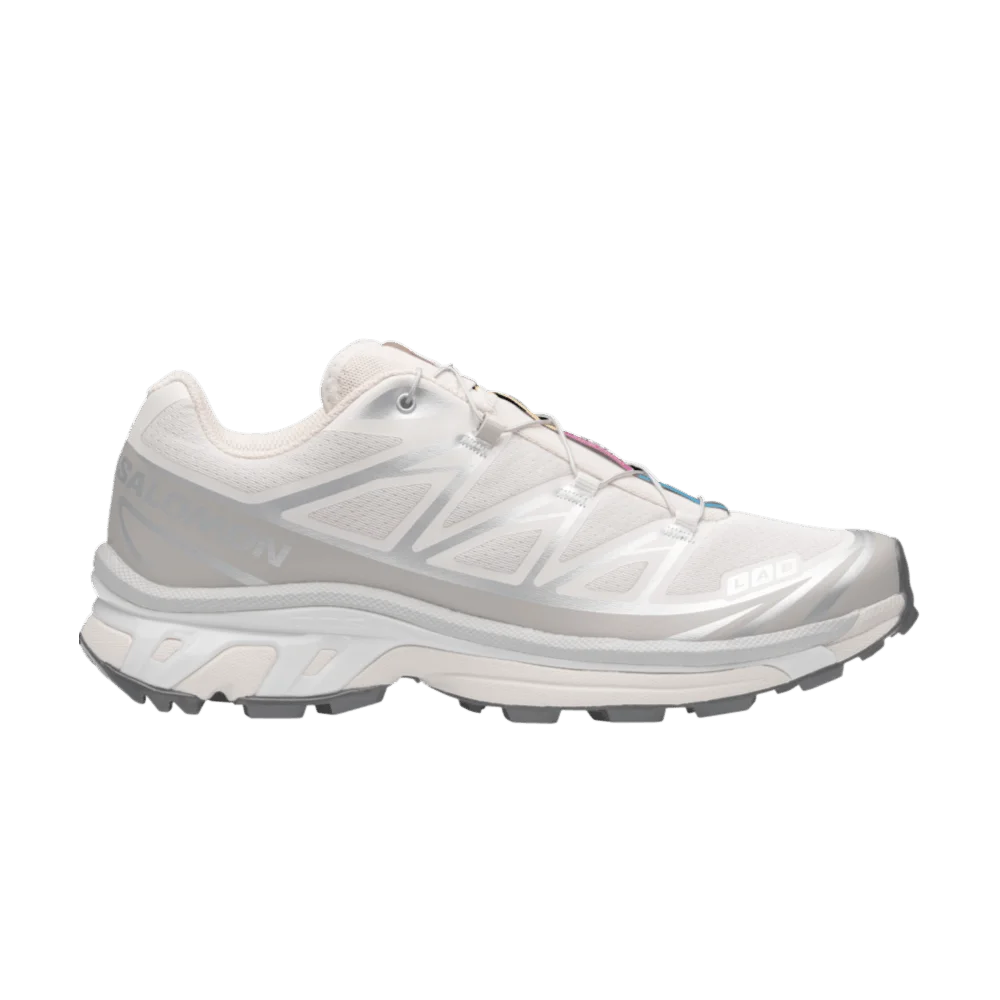 Кроссовки Salomon XT 6 'Rainy Day Paloma'