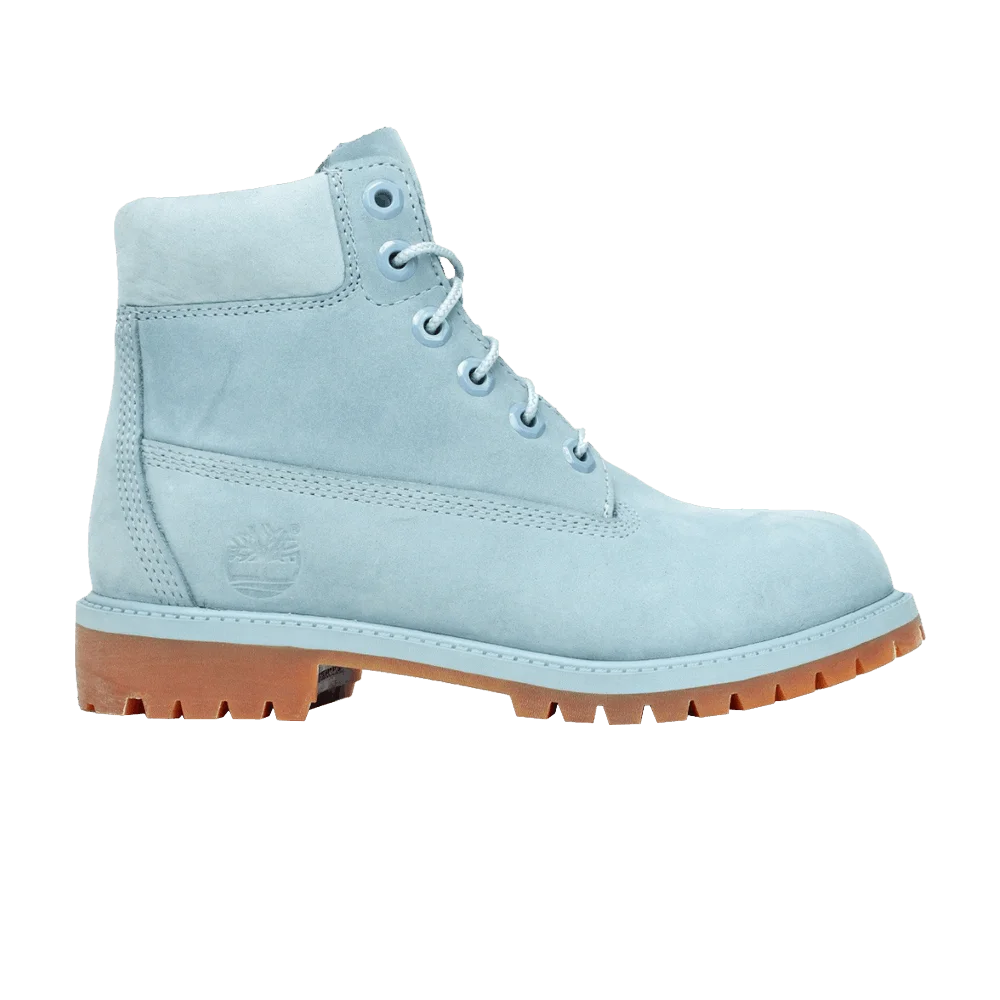 Ботинки Timberland 6 Inch Premium Junior 'Blue'