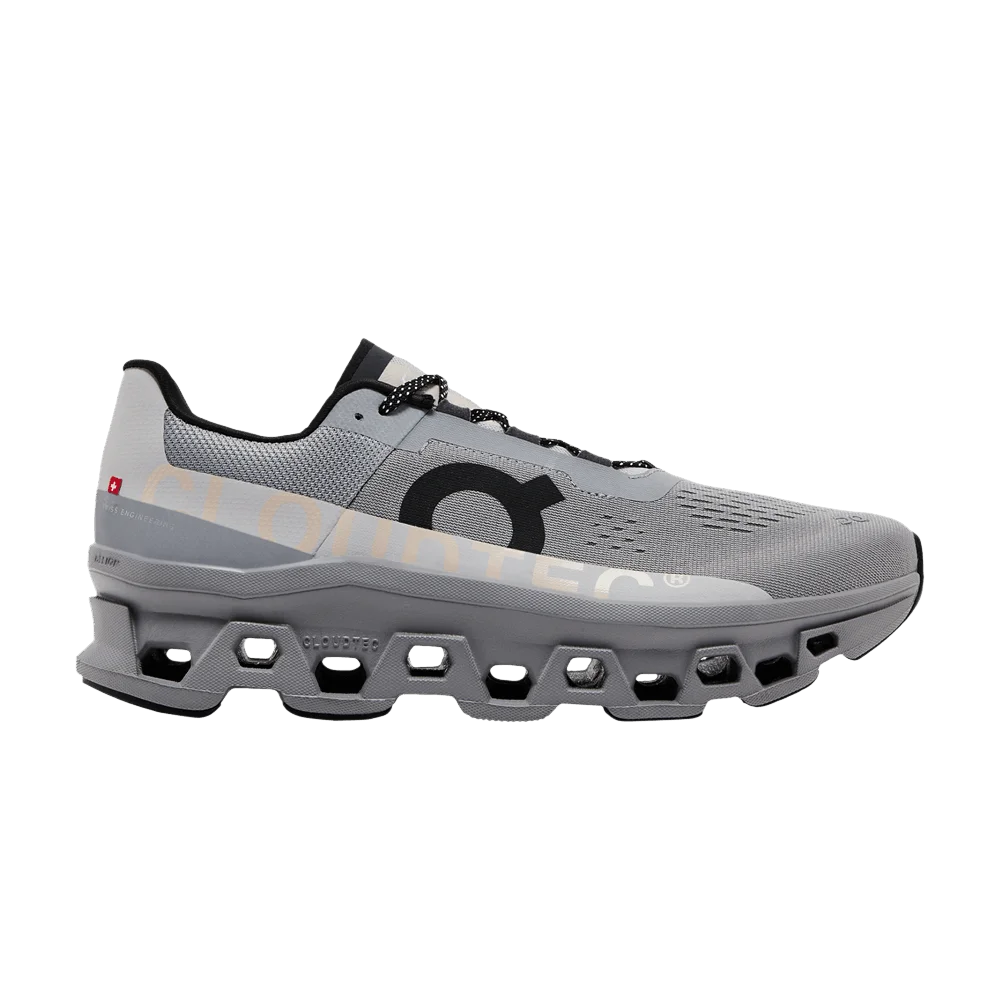 Кроссовки Cloudmonster 'Alloy Silver'