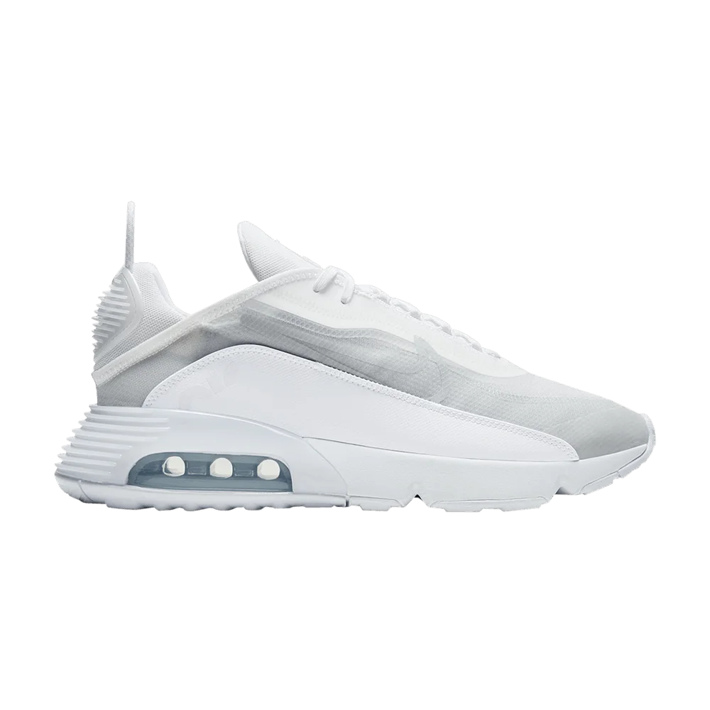 Кроссовки Nike Air Max 2090 'Silver'