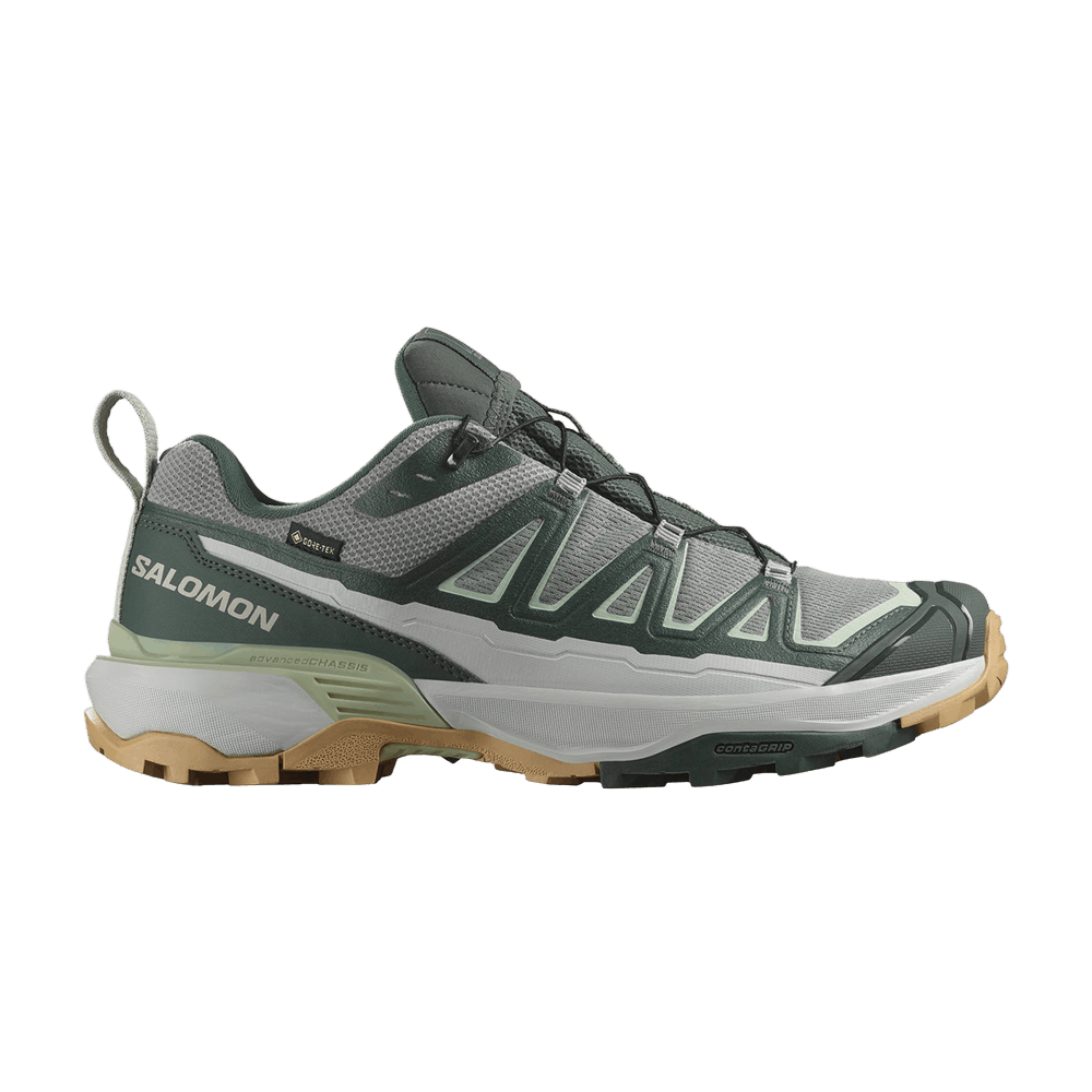 Кроссовки Salomon X Ultra 360 Edge GORE-TEX 'Monument'