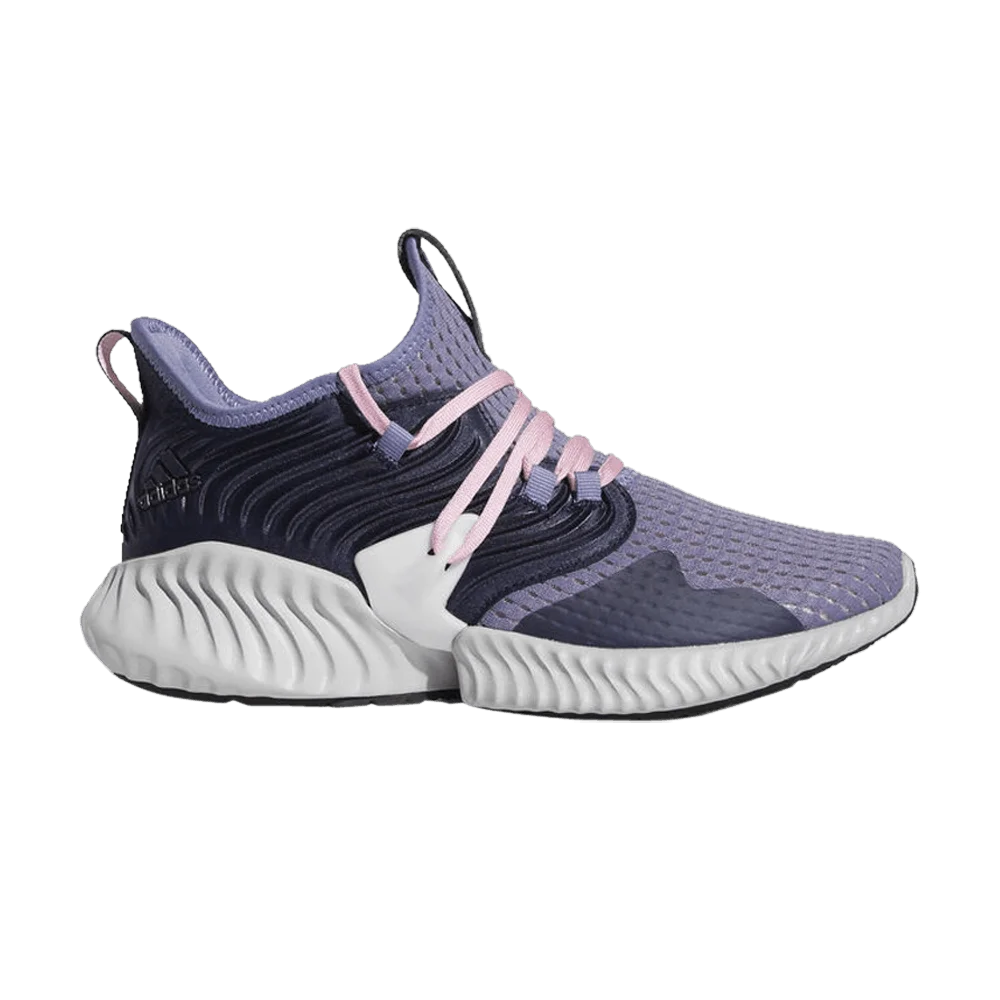 Кроссовки Adidas Wmns Alphabounce Instinct Clima 'Legend Ink'