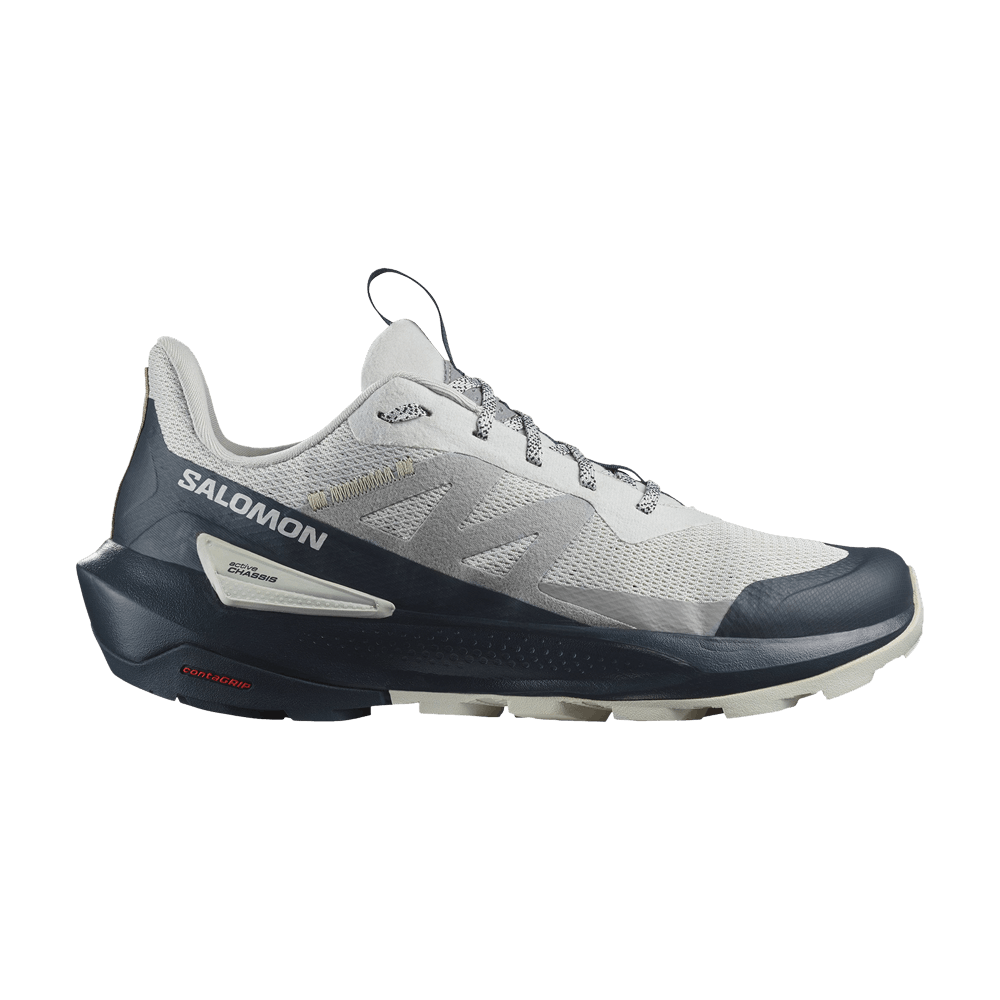 Кроссовки Salomon Elixir Activ 'Glacier Grey Carbon'