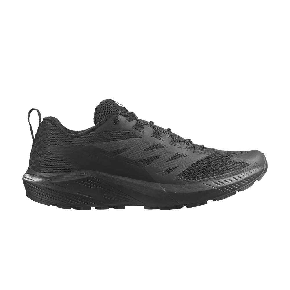 Кроссовки Salomon Sense Ride 5 SR 'Black Phantom'