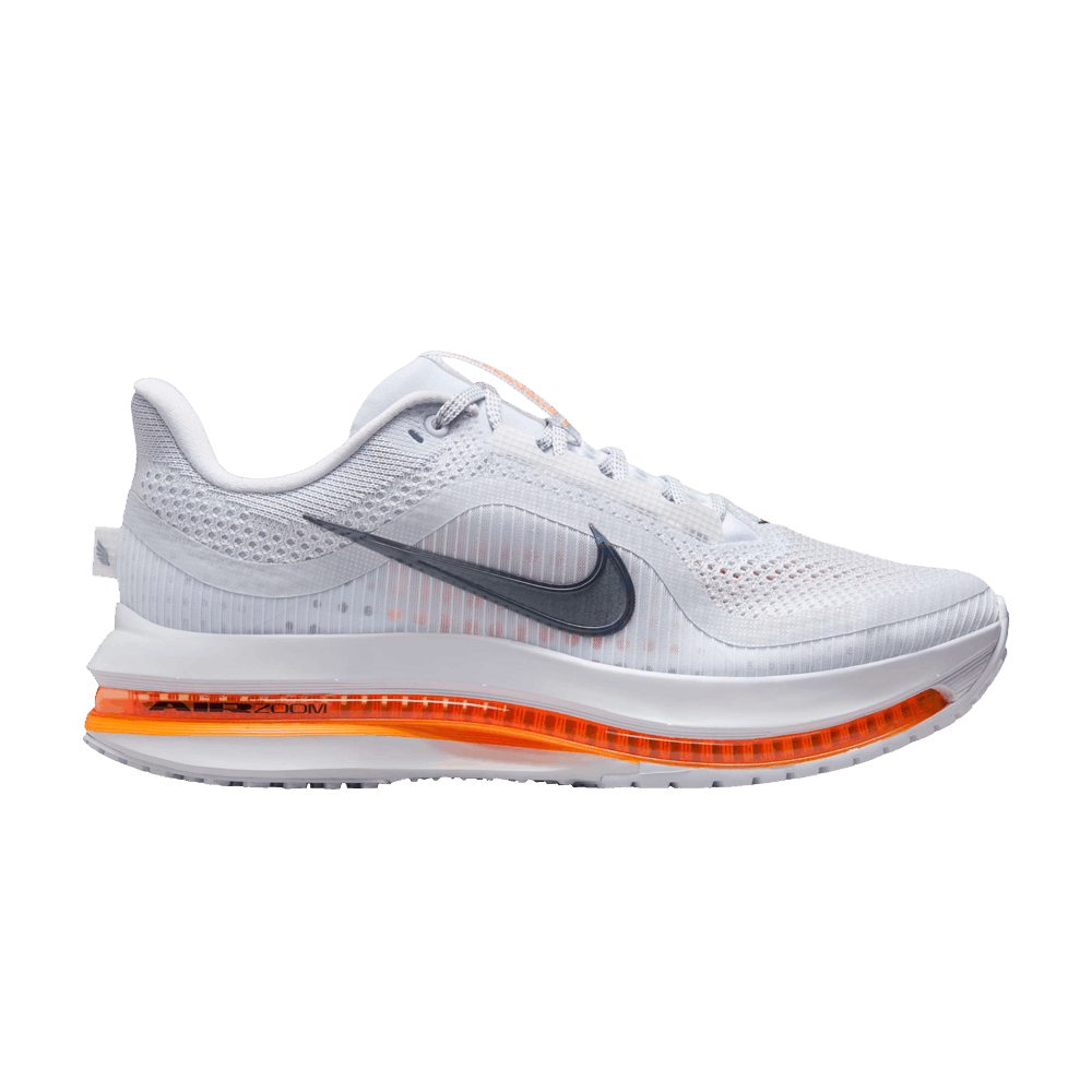 Кроссовки Nike Wmns Pegasus Premium 'Airscape'