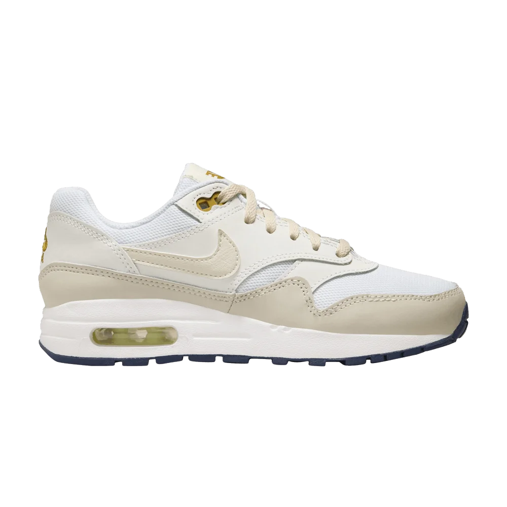 Кроссовки Nike Air Max 1 GS 'White Bronzine'